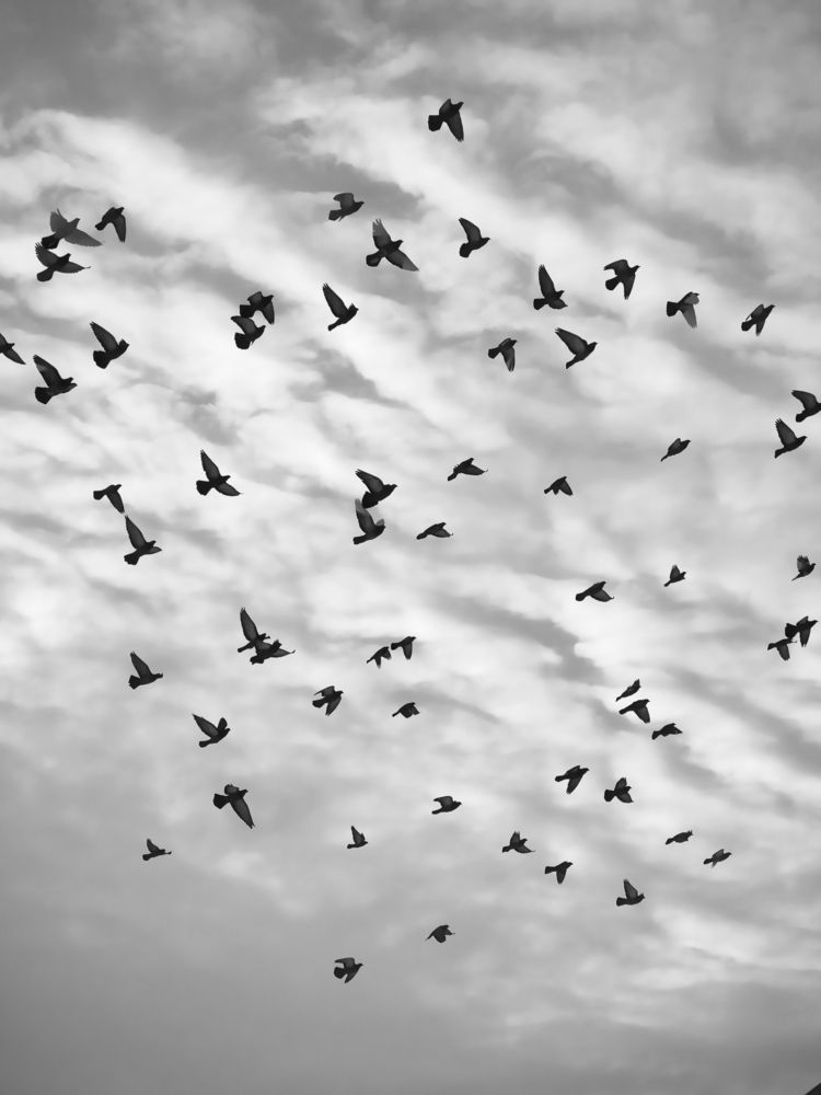 Photograph by Olena Chertous