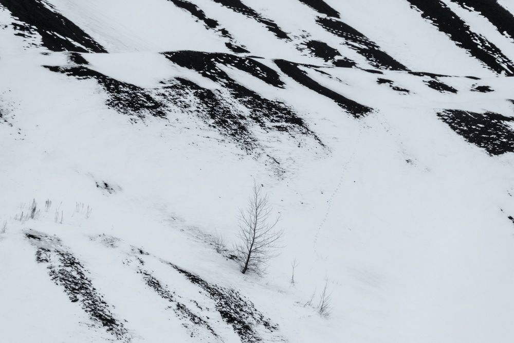 Photograph by Кетова Вера