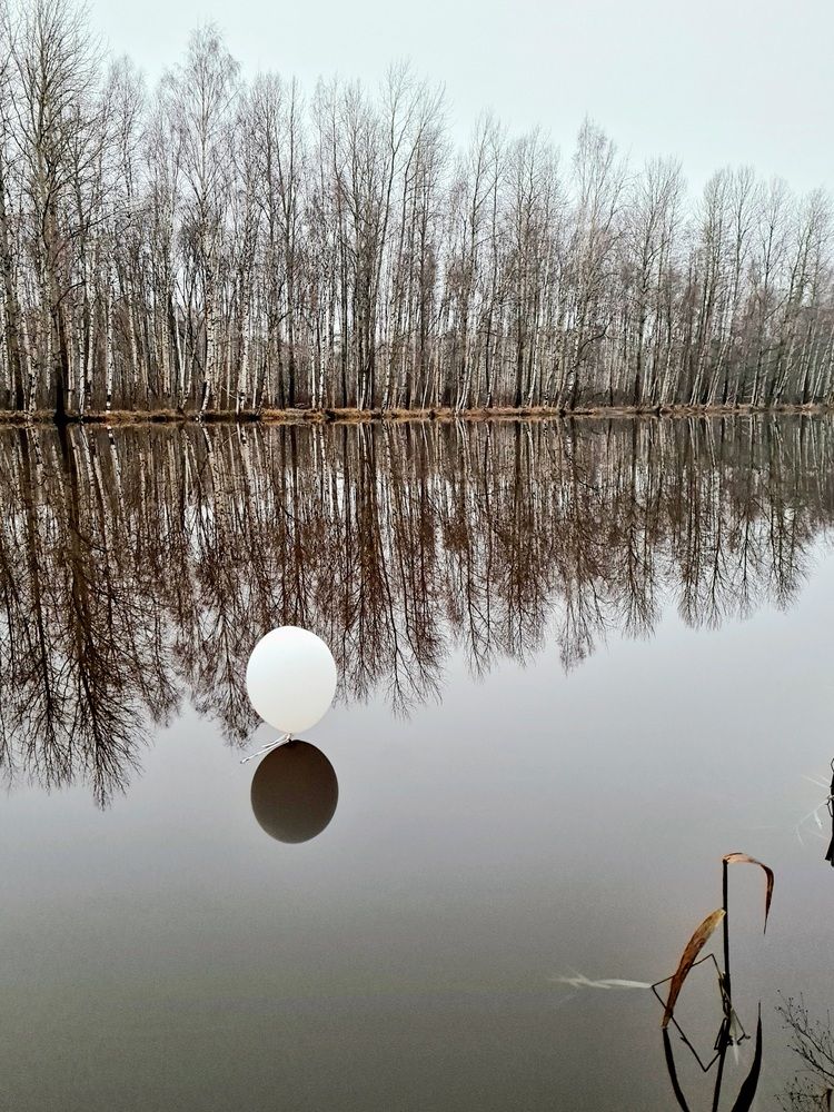 Photograph by Инна Мухина