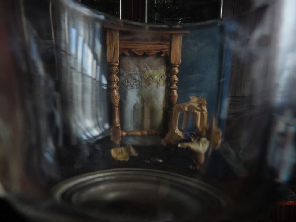 Фотография автора Vera Eremeeva