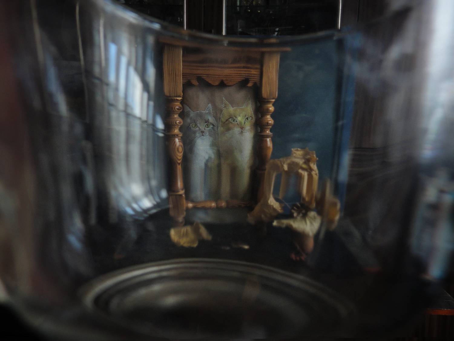 Фотография #13036393