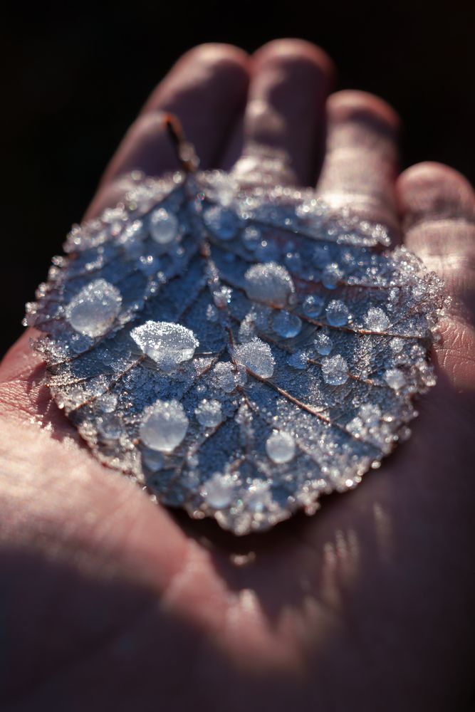 Photograph by Bogdan Kalashnikov