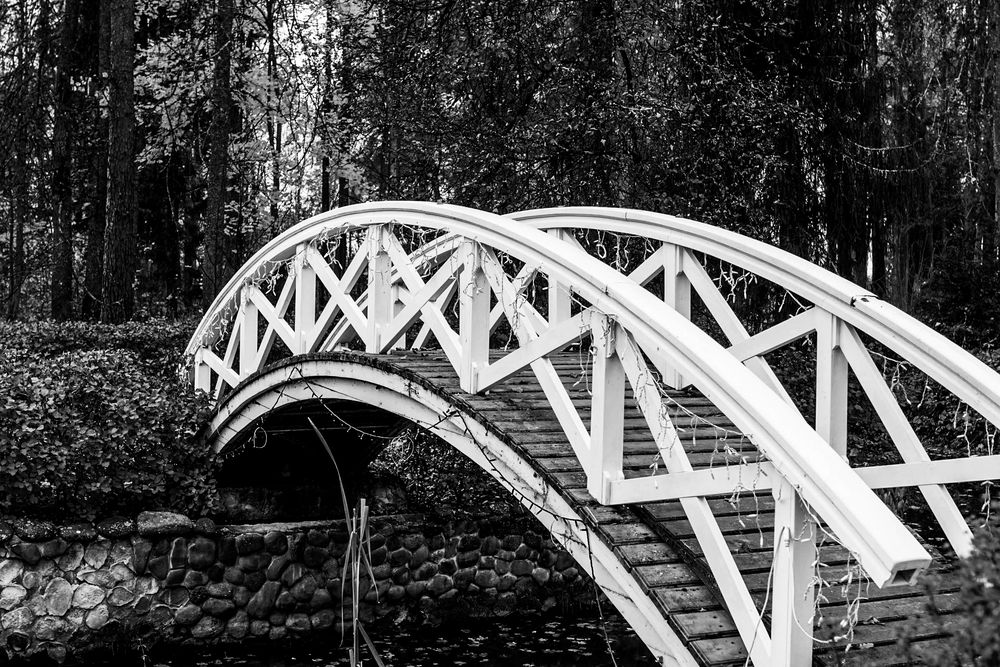 Photograph by Галина Андреева