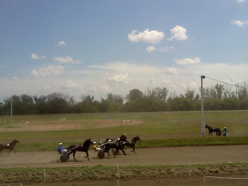 Photograph by карякина мария