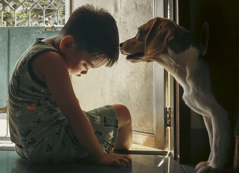 Silent Understanding