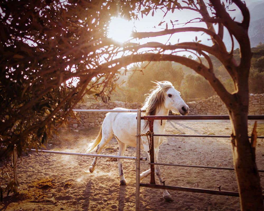 Фотография автора Alexandra Sergeeva