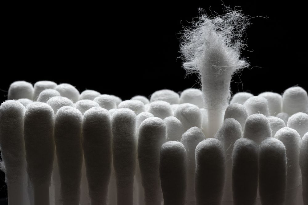 Photograph by Мохначев Владимир