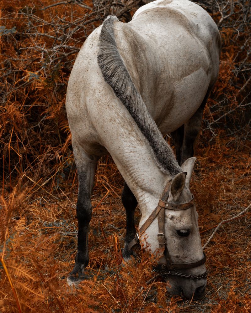 Фотография автора Alexandra Sergeeva