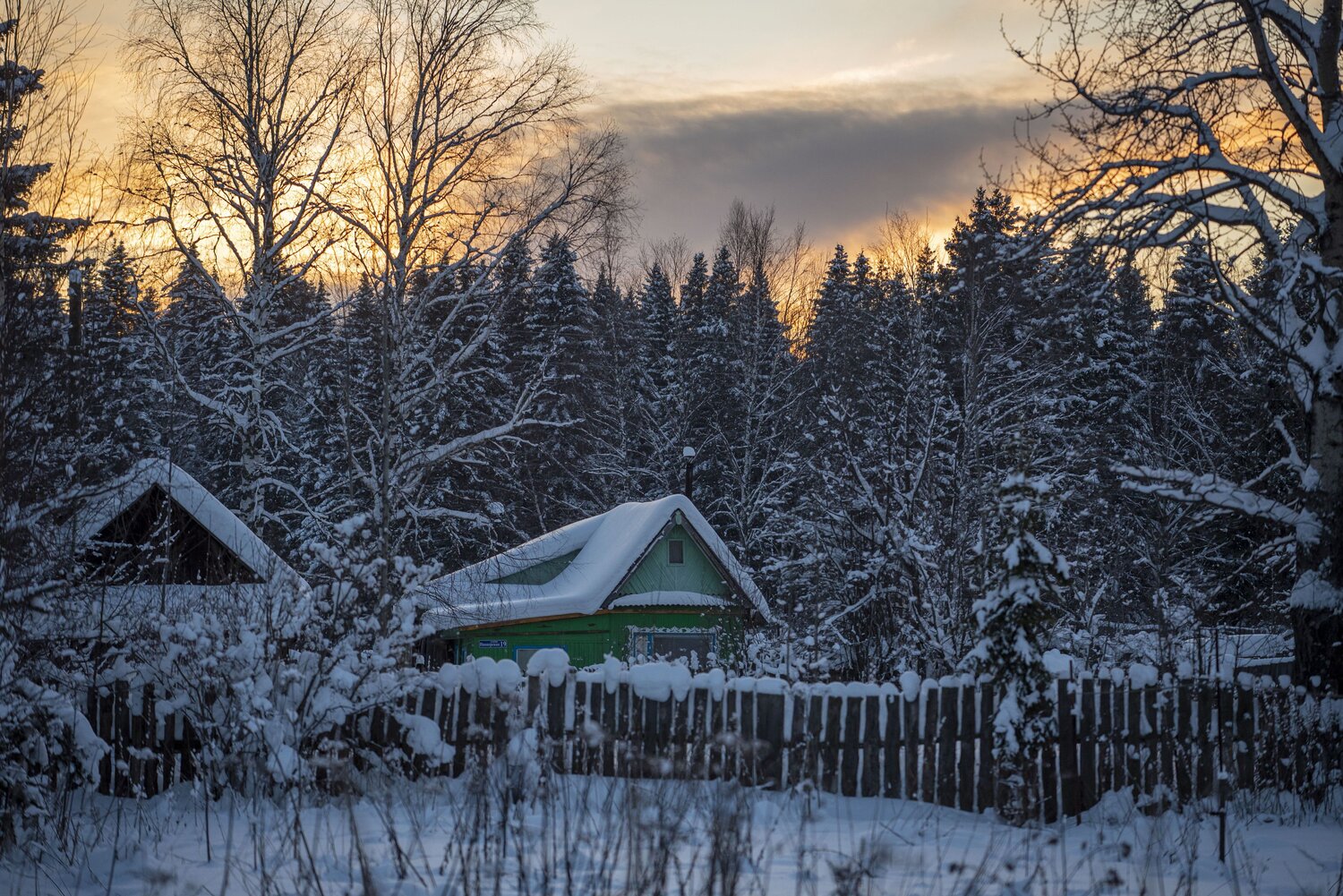 Photo #13036663