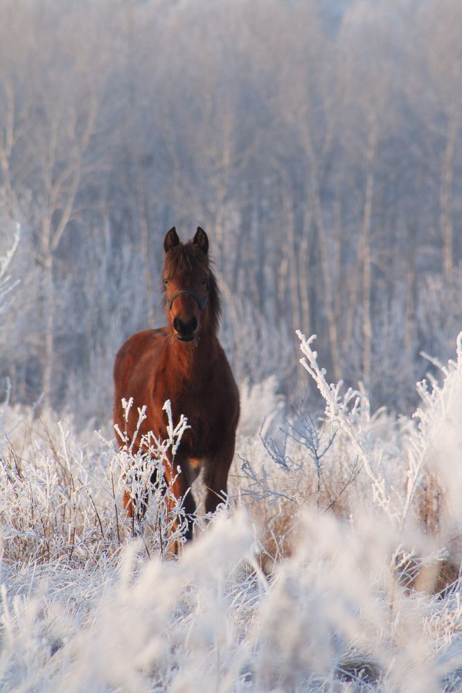 Фотография автора Артур Нигматов