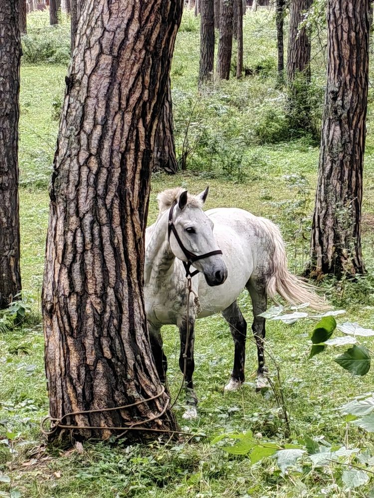 Фотография автора Алёна С-К
