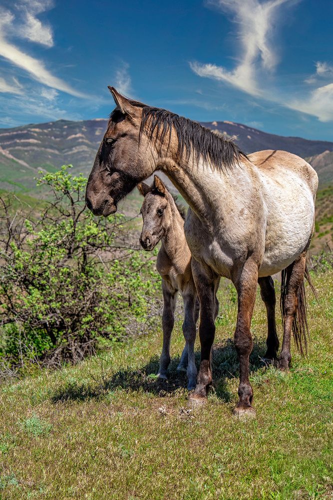 Photograph by Vladimir Ostapenko