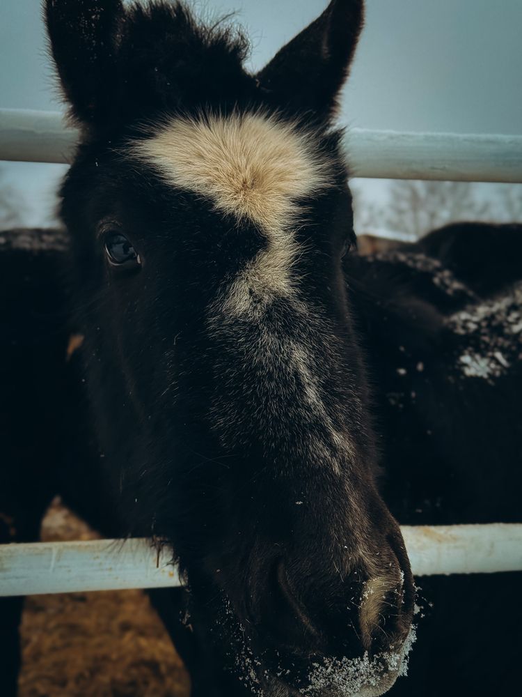Photograph by Алёна Горошко