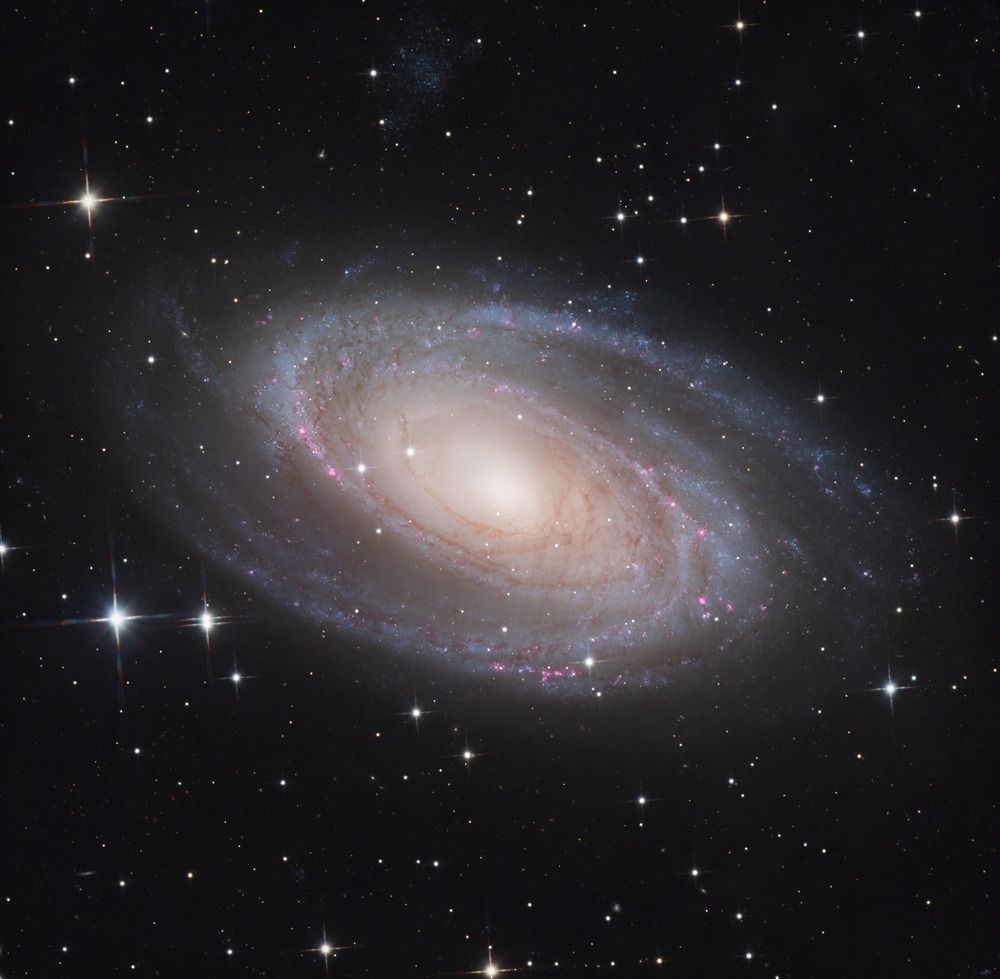 Галактика M81