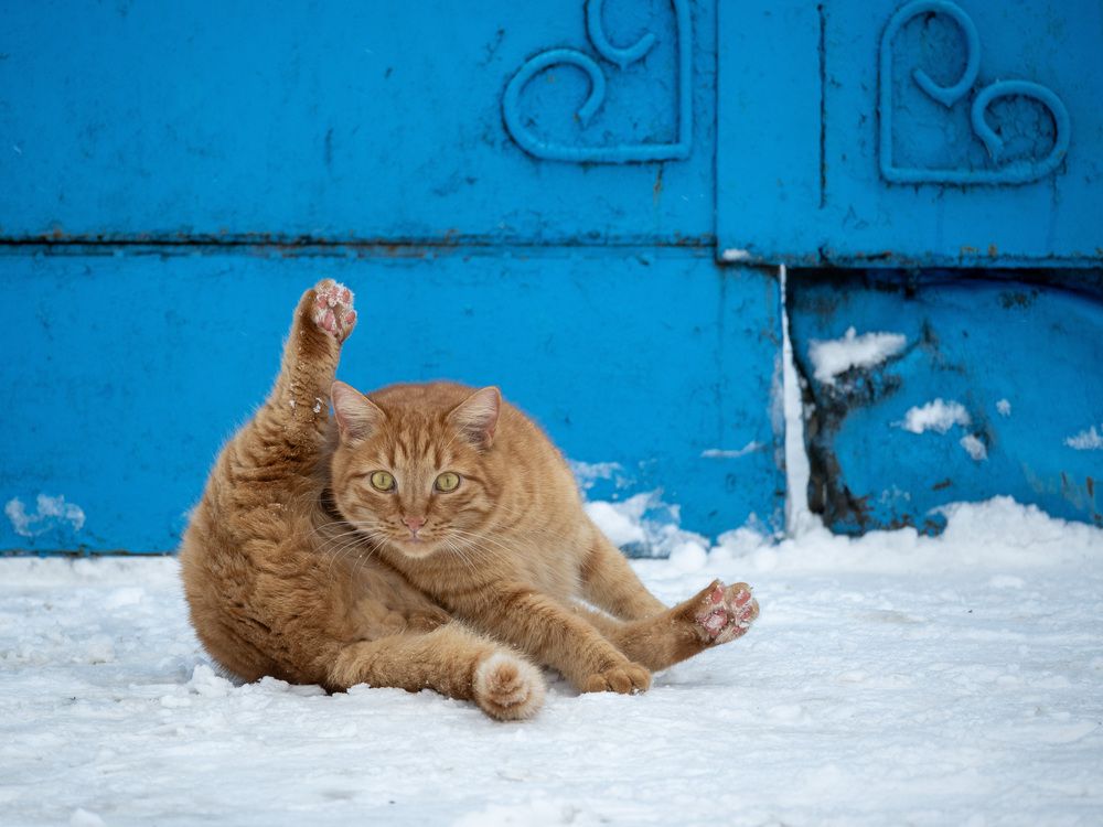 Photograph by Tatiana Shtun