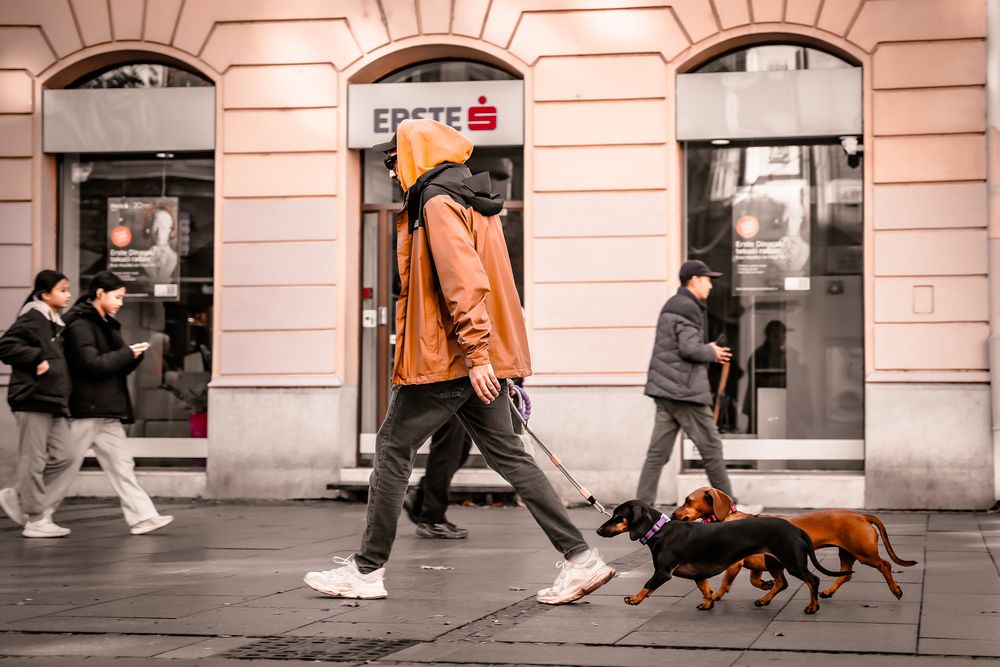 Walk with my best friends !