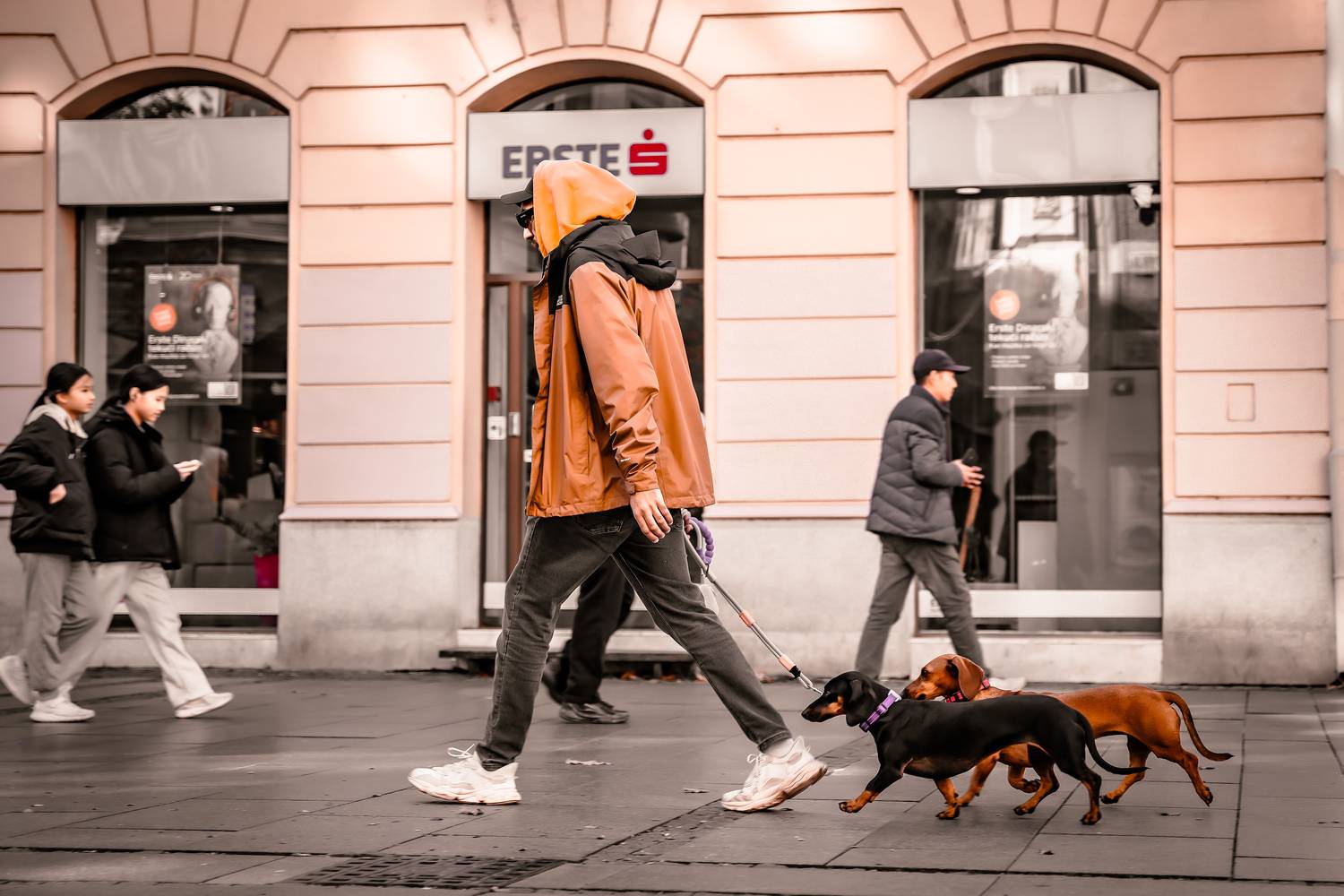 Walk with my best friends !