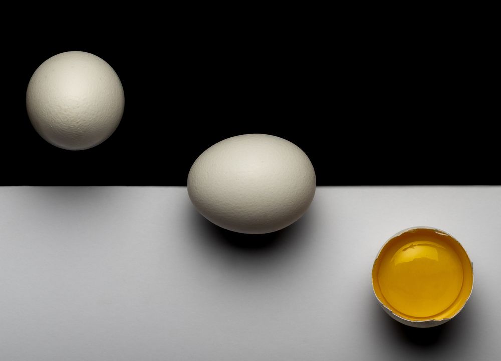 Photograph by Мохначев Владимир