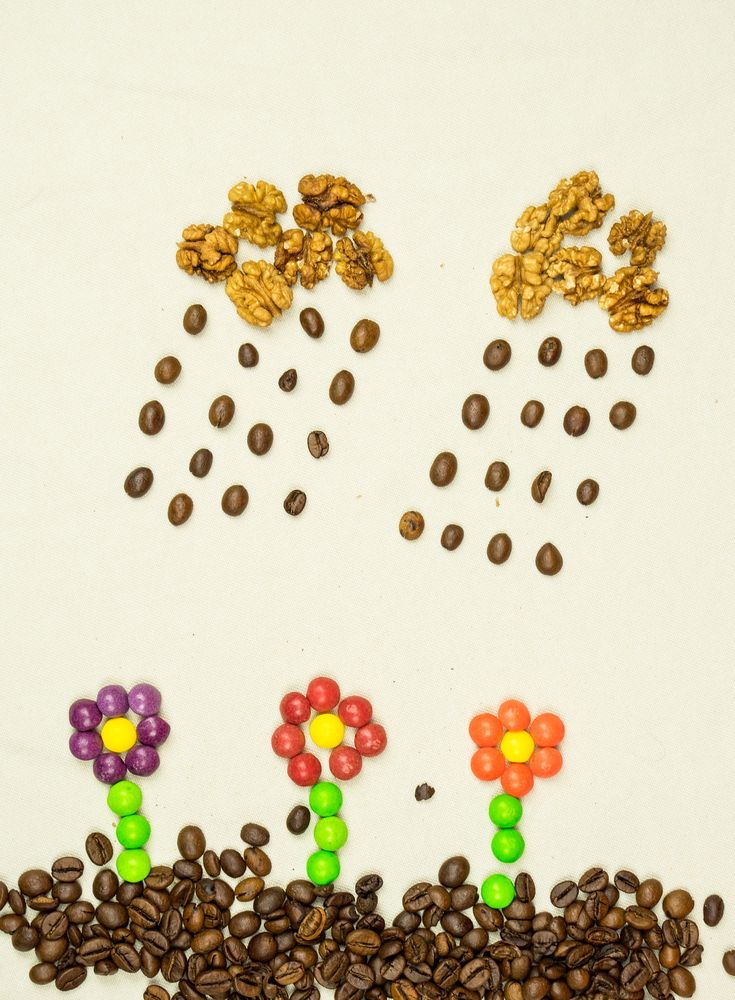 Фотография автора Василиса Новикова