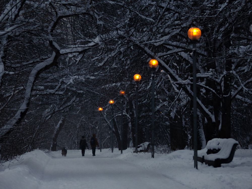 Photograph by Алексеев Сергей