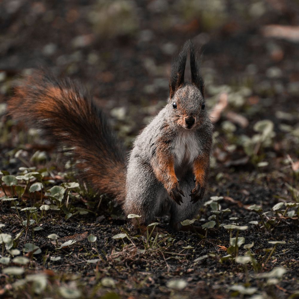 Photograph by Колесенко Иван