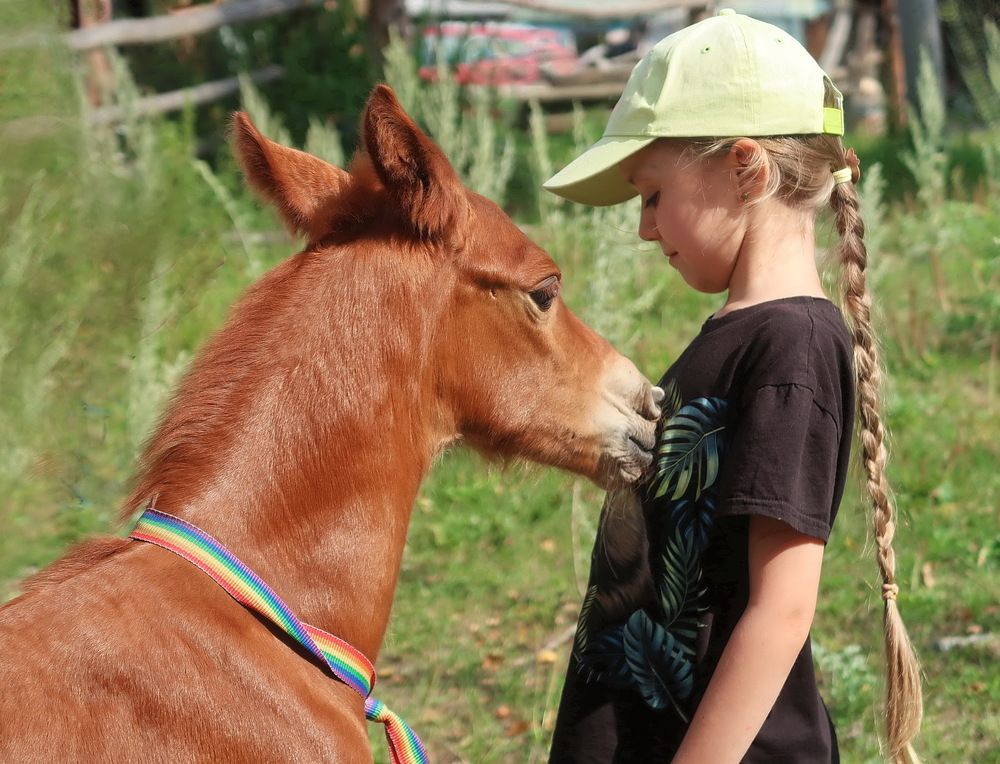 Photograph by Нина