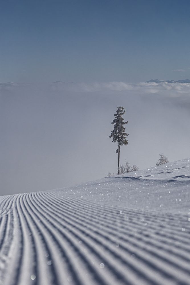 Photograph by Елена Павлова