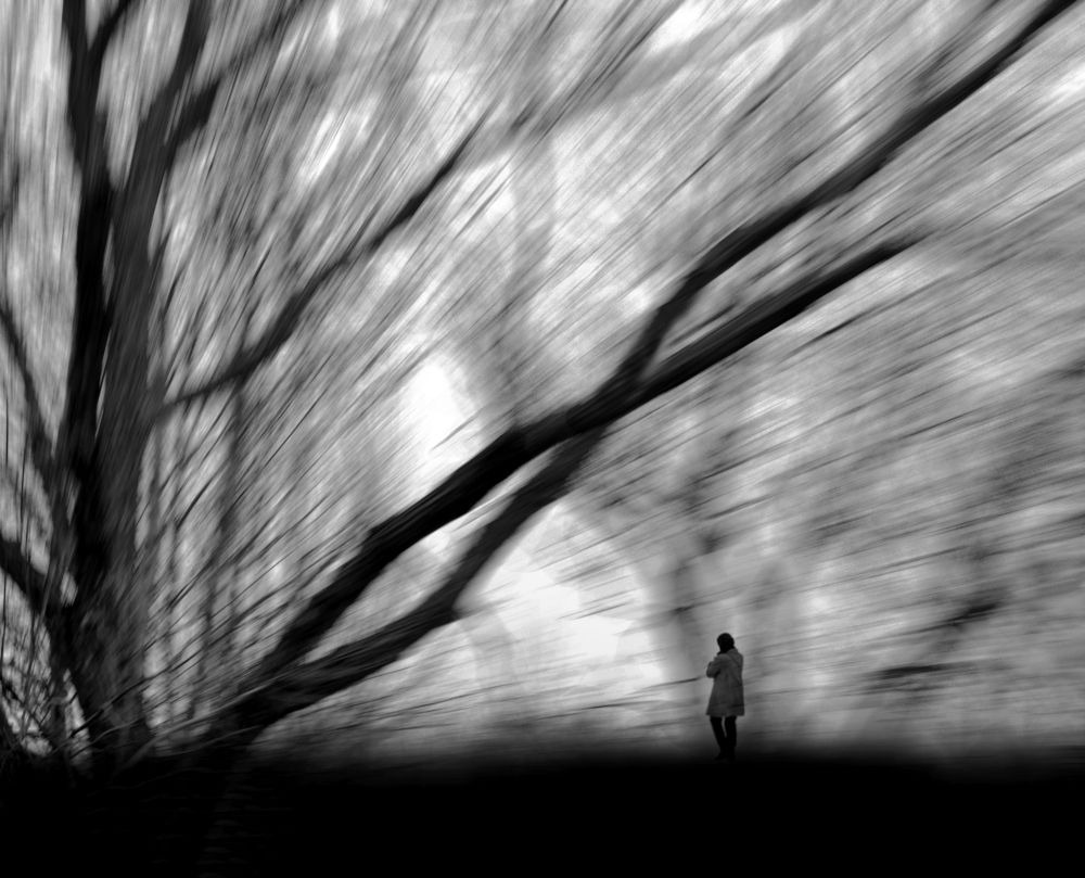 Photograph by محمودرضا نورایی