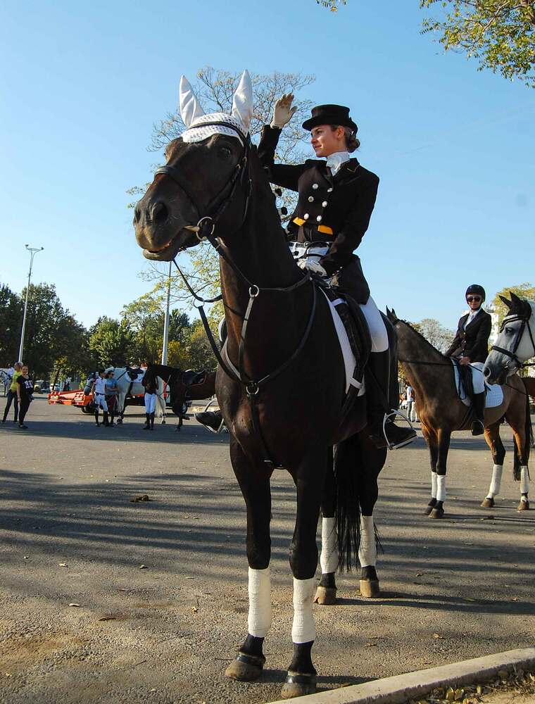 Photograph by  SaidArt