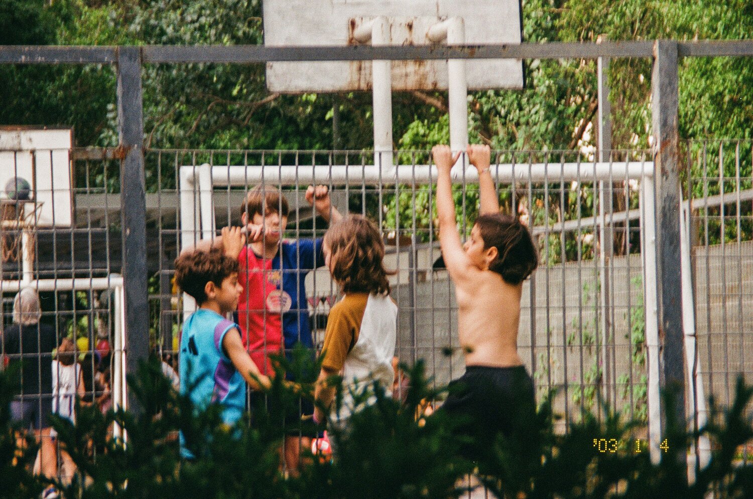 Photo #13037035