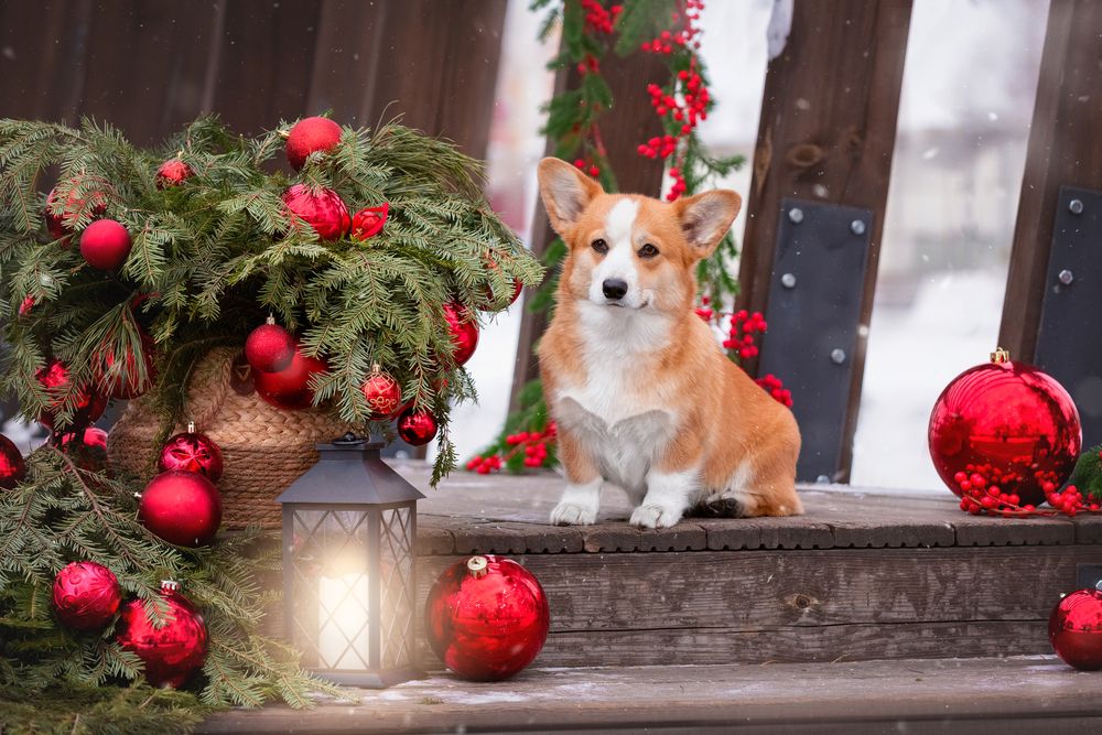 Photograph by Наталья Степанова