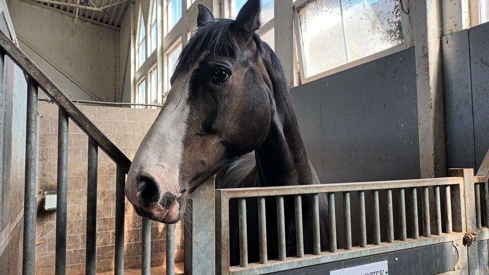 Photograph by Инна Демкив