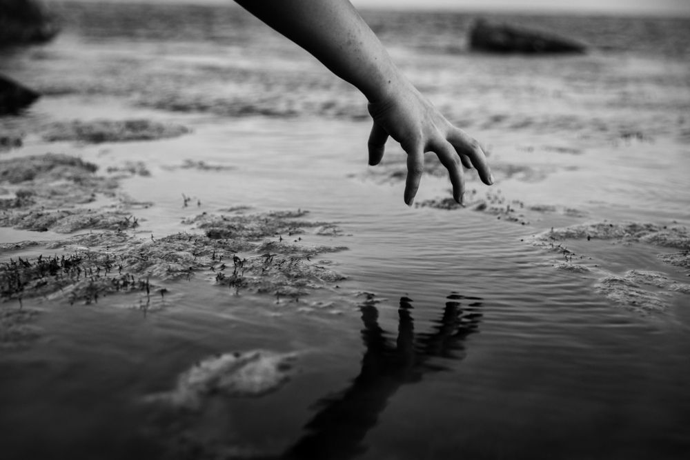 Photograph by Алексей Шматков