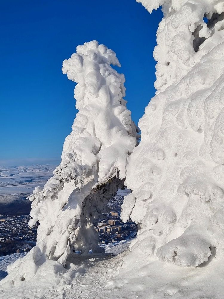 Photograph by Лидия Лащева