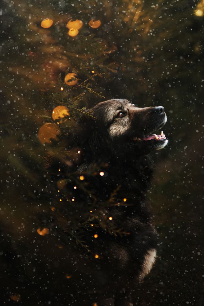 Photograph by Veronika Biró