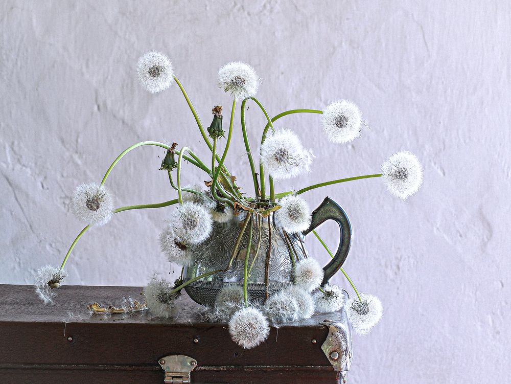Photograph by Наталья Казанцева