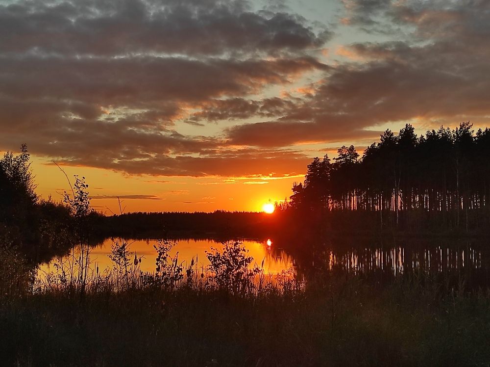 Photograph by Максим