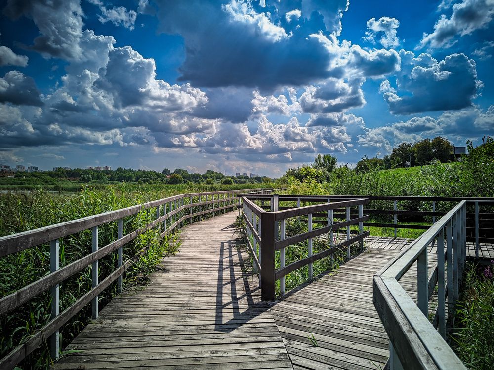 Photograph by Олега Тор