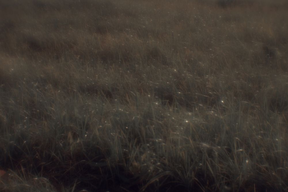 Photograph by Наталья