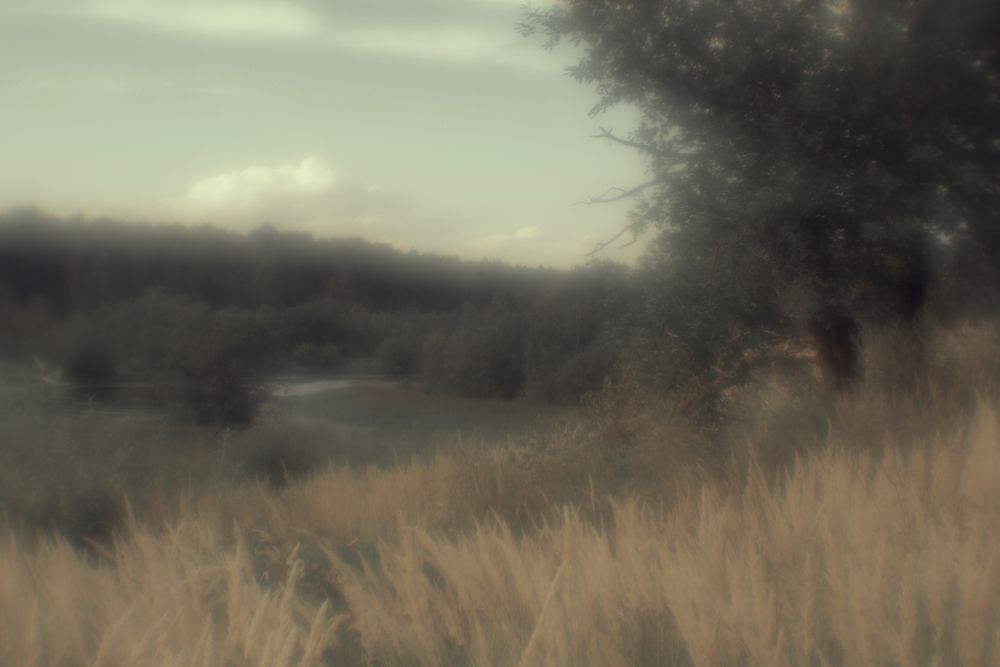 Photograph by Наталья