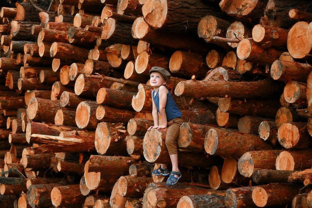 Photograph by Ирина Карачунова