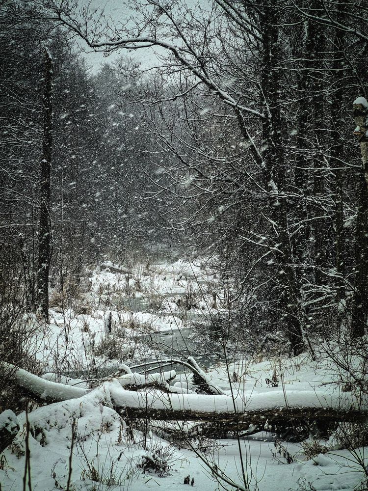 Photograph by Инна Невар