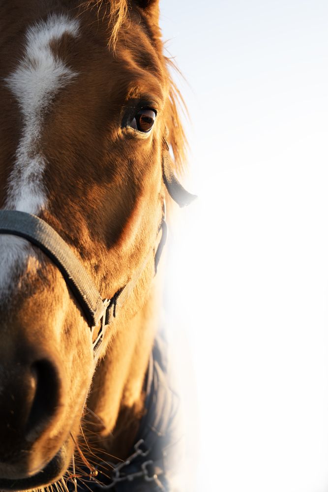Фотография автора Денис Шишов