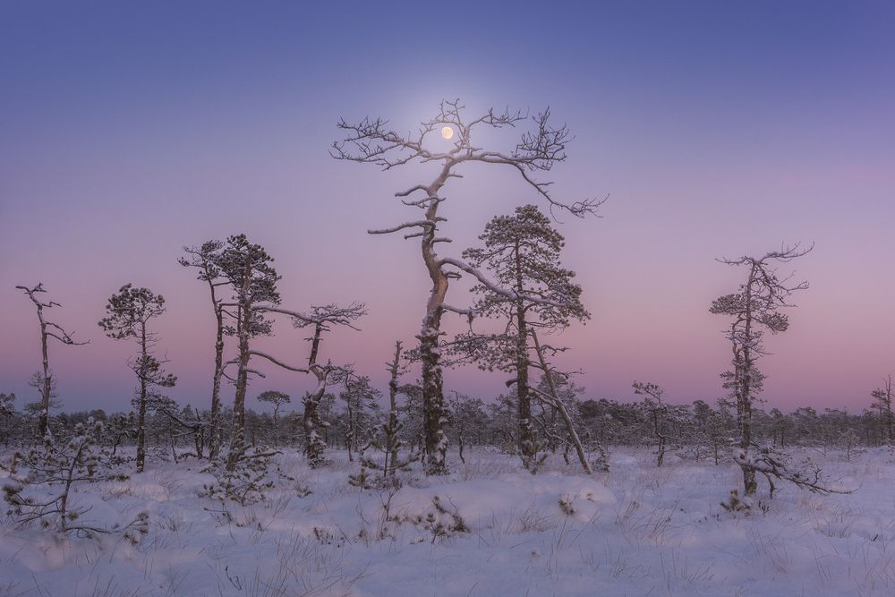 Photograph by Ivan Glinskiy