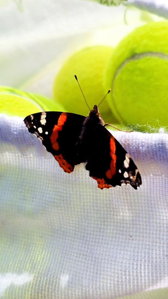 Photograph by Olga Astahidou