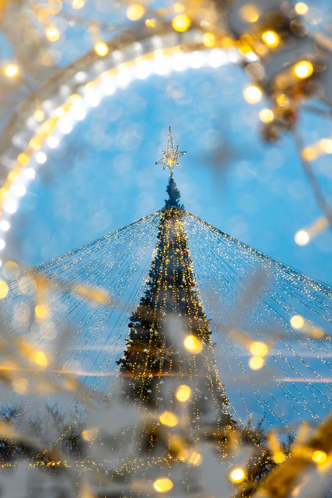 Photograph by Дарья Гусева