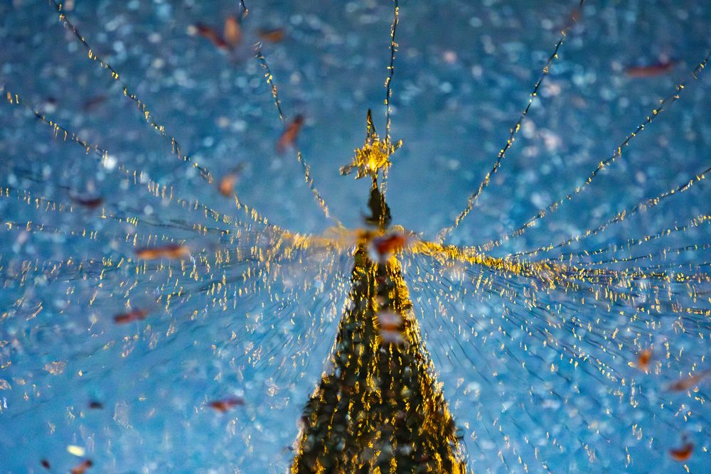 Photograph by Дарья Гусева