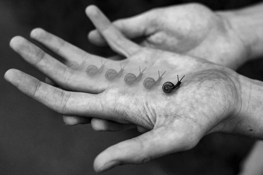 Photograph by Дарья Гусева