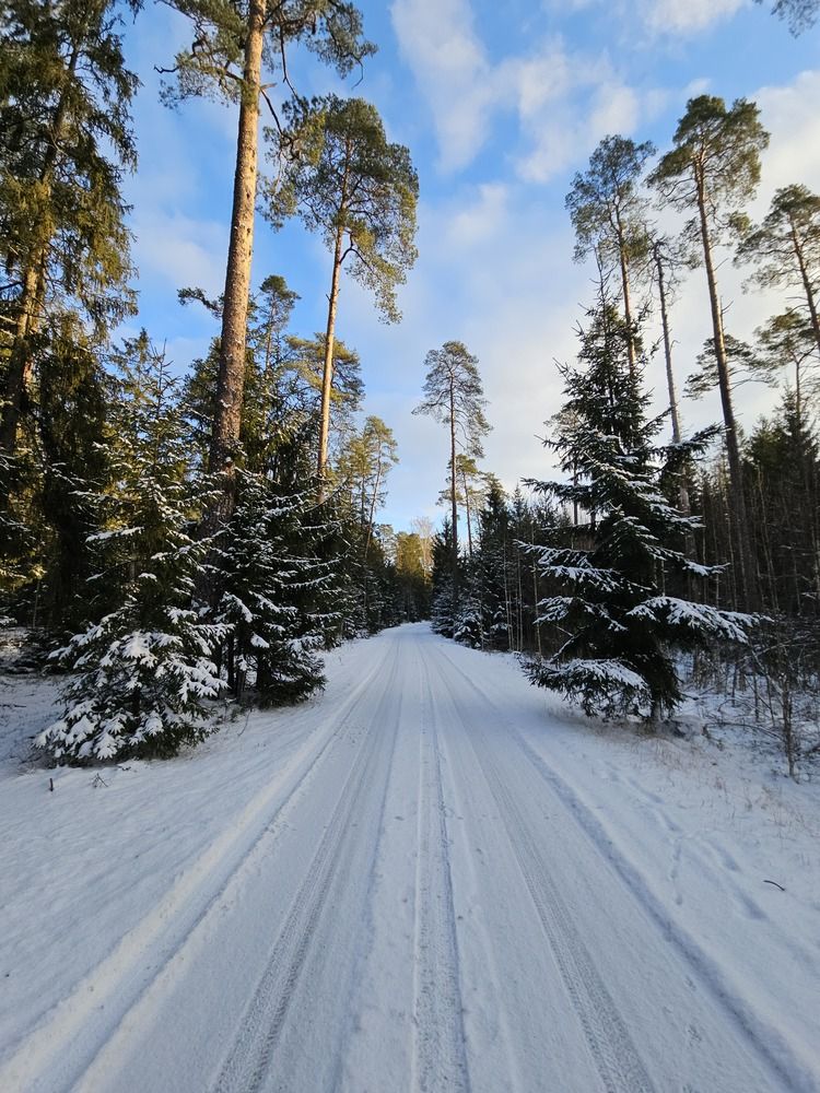 Photograph by Александр Петуховский