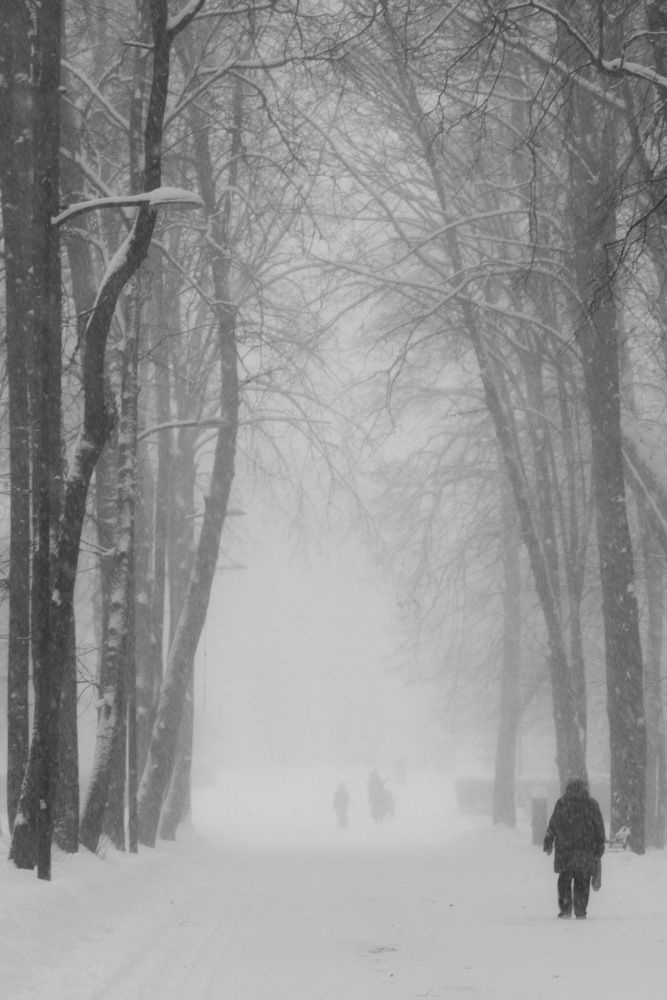 Photograph by Анна Крюкова